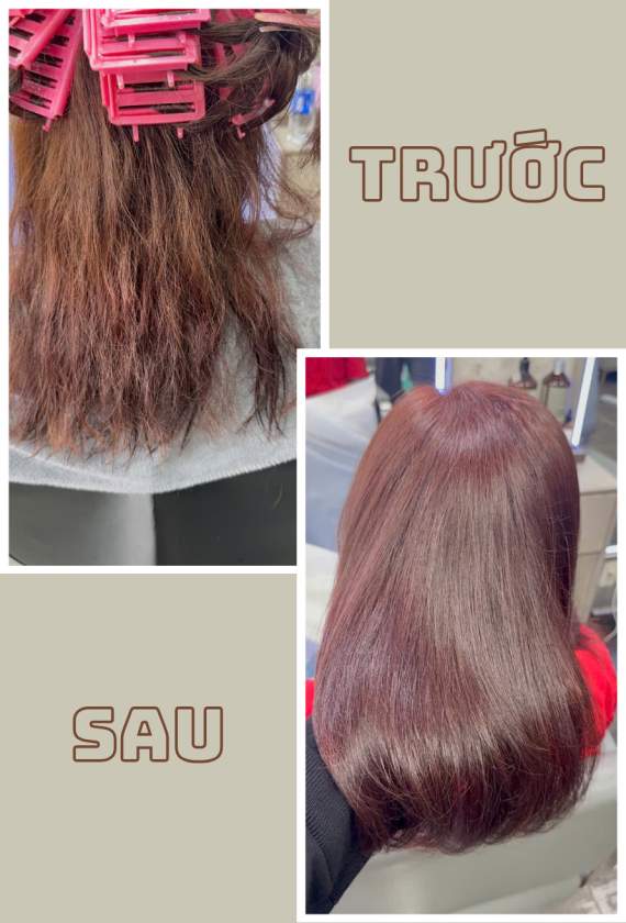 Phục Hồi Thuần Chay