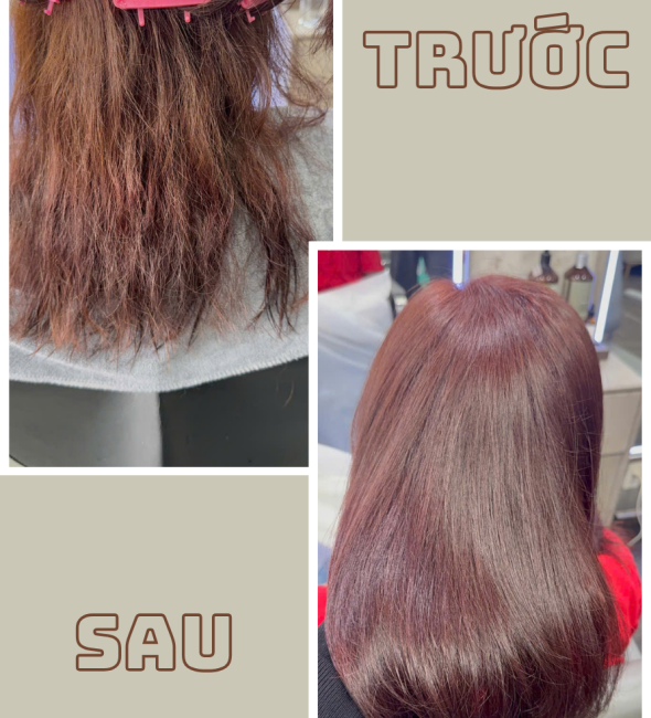 Phục Hồi Thuần Chay